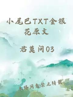 小尾巴TXT金银花原文