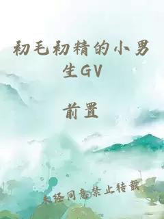 初毛初精的小男生GV