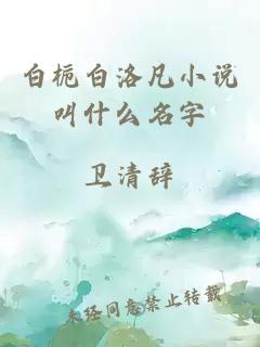 白栀白洛凡小说叫什么名字