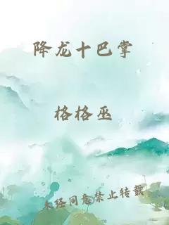 降龙十巴掌