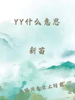 YY什么意思