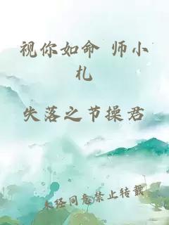 视你如命 师小札