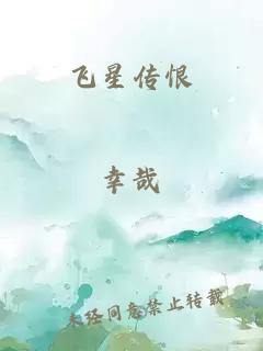 飞星传恨