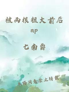 被两根粗大前后np