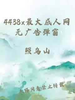 4438x最大成人网无广告弹窗