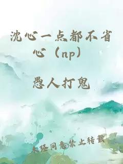 沈心一点都不省心（np）