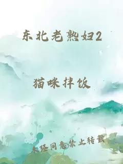 东北老熟妇2