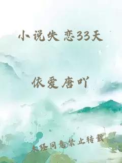 小说失恋33天