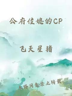 公府佳媳的CP