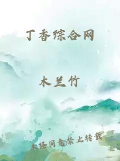 丁香综合网