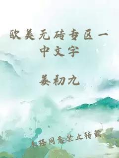 欧美无砖专区一中文字