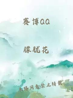 赛博QQ