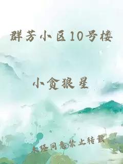 群芳小区10号楼